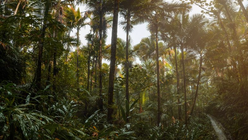 Puerto Rico 7-Day Itinerary: The Ultimate Island Guide (2026)