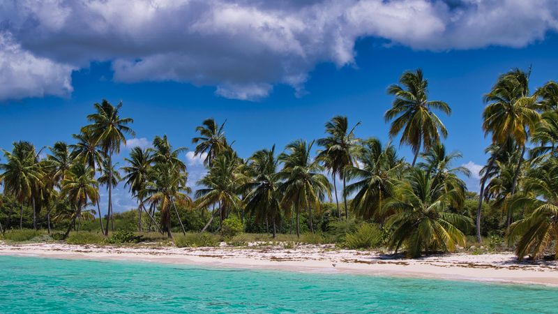 Puerto Rico vs Dominican Republic: No Passport, Bio Bays & the Real Cost