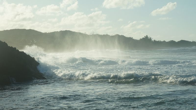 Rincón Surf Tours, Diving & Water Adventures