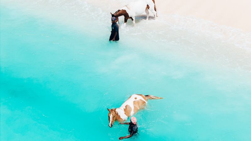 12 Things to Do in Vieques, Puerto Rico