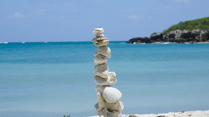 Vieques Island Tours: Bio Bay, Beaches & Day Trips from Fajardo